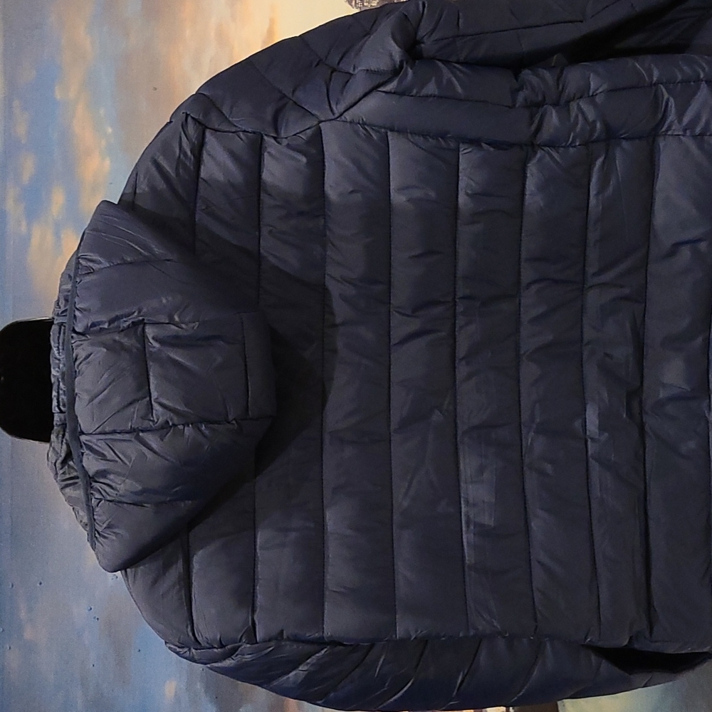Bleu Grandeur Coat - Picture 5 of 9